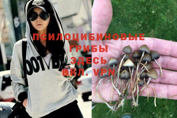 мяу мяу мука Алзамай